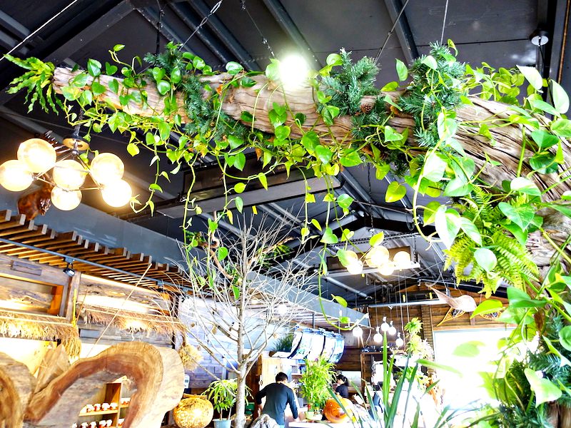 【吉安美食】松湖驛站｜季節限定落羽松仙境景觀餐廳 花蓮好好玩